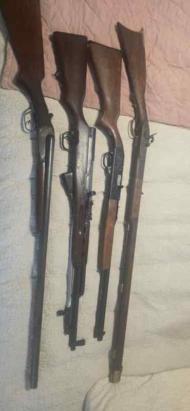 SXS 12 ga/SKS/Ted Williams 22/CVA 45 cal